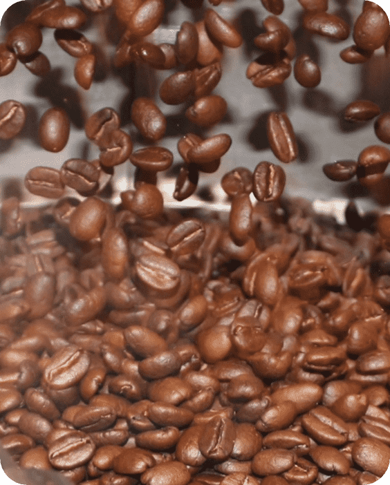 焙煎したコーヒー豆は300gを店内にボトルキープ